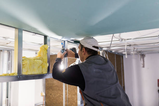 Best Commercial Insulation in Ferndale, CA