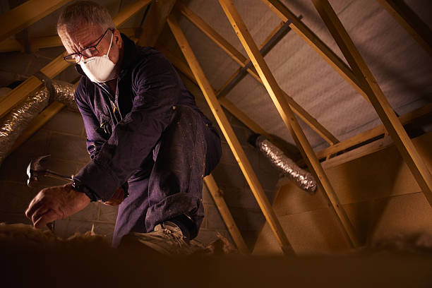 Best Specialty Insulation in Ferndale, CA